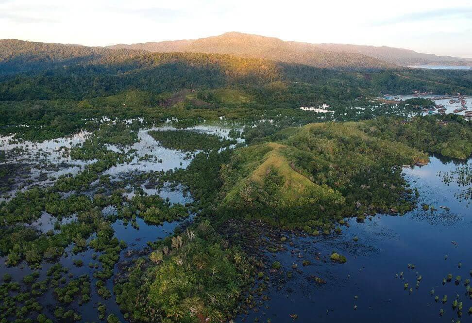 Coming Soon: Planting in Brazil